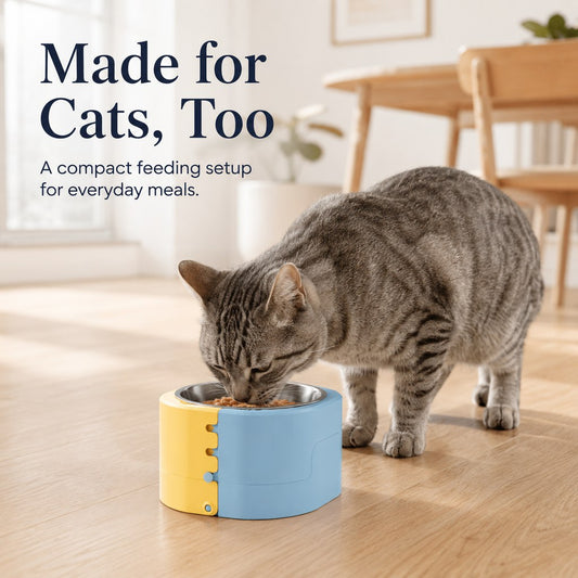 3-level adjustable elevated slow feeder bowl - Sky Blue and Sunshine Yellow cat feeding scene