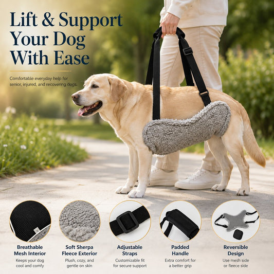 Paws in Awe Dog Lift Support Sling for Stairs & Walks - Adjustable Mobility Harness for Senior Dogs with Weak Legs image 2