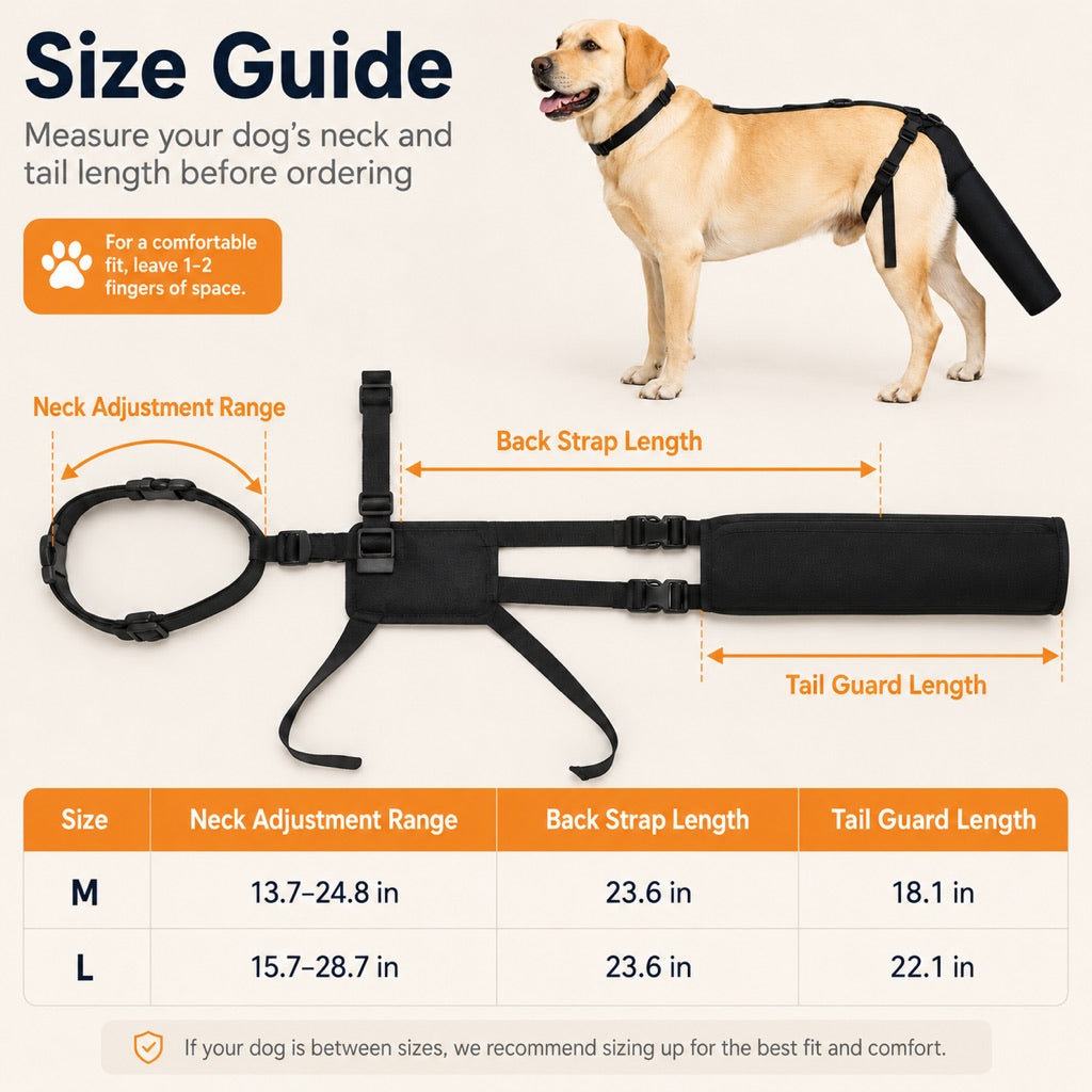 Paws in Awe Adjustable Dog Tail Protector for Recovery & Daily Walks - Padded Guard for Sensitive Tails
