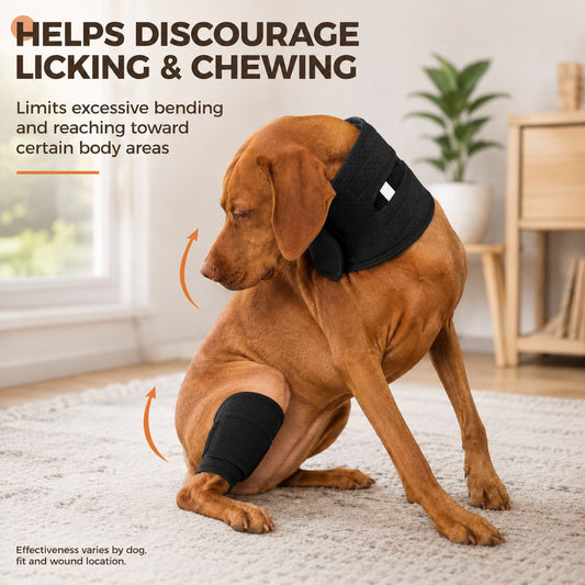 Paws in Awe Adjustable Dog Neck Support Brace for At-Home Rest - Breathable Structured Wrap for Added Stability image 2