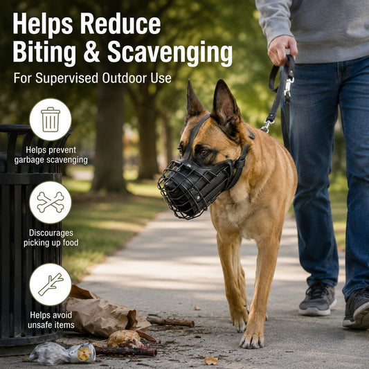 Paws in Awe Heavy-Duty Black Steel Basket Dog Muzzle for Large Dogs - Safer Walks, Vet Visits & Anti-Scavenging Control image 2