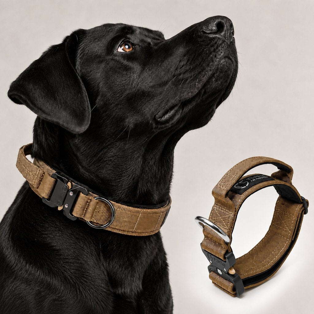 Paws in Awe Large Dog Tactical Collar with Control Handle - Secure Grip for Walks, Training & Strong Pullers image 13
