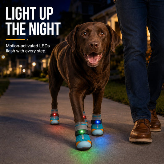 Paws in Awe Motion-Activated LED Dog Boots for Night Walks – Flashing Paw Shoes for Better Visibility & Traction image 2