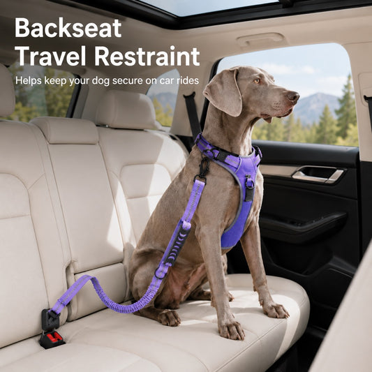 Paws in Awe Reflective Dog Car Seat Belt Leash for Backseat Travel & Daily Walks - Shock-Absorbing Bungee Tether to Help Reduce Pulling & Driver Distraction image 2