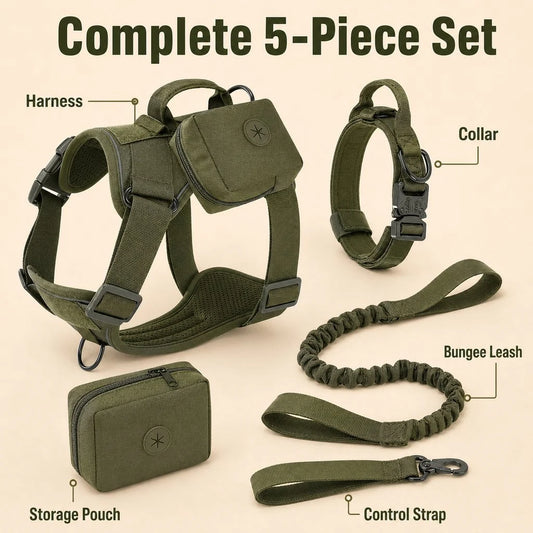 Paws in Awe 5-Piece Tactical Dog Harness Set for Hiking & Training product image 2