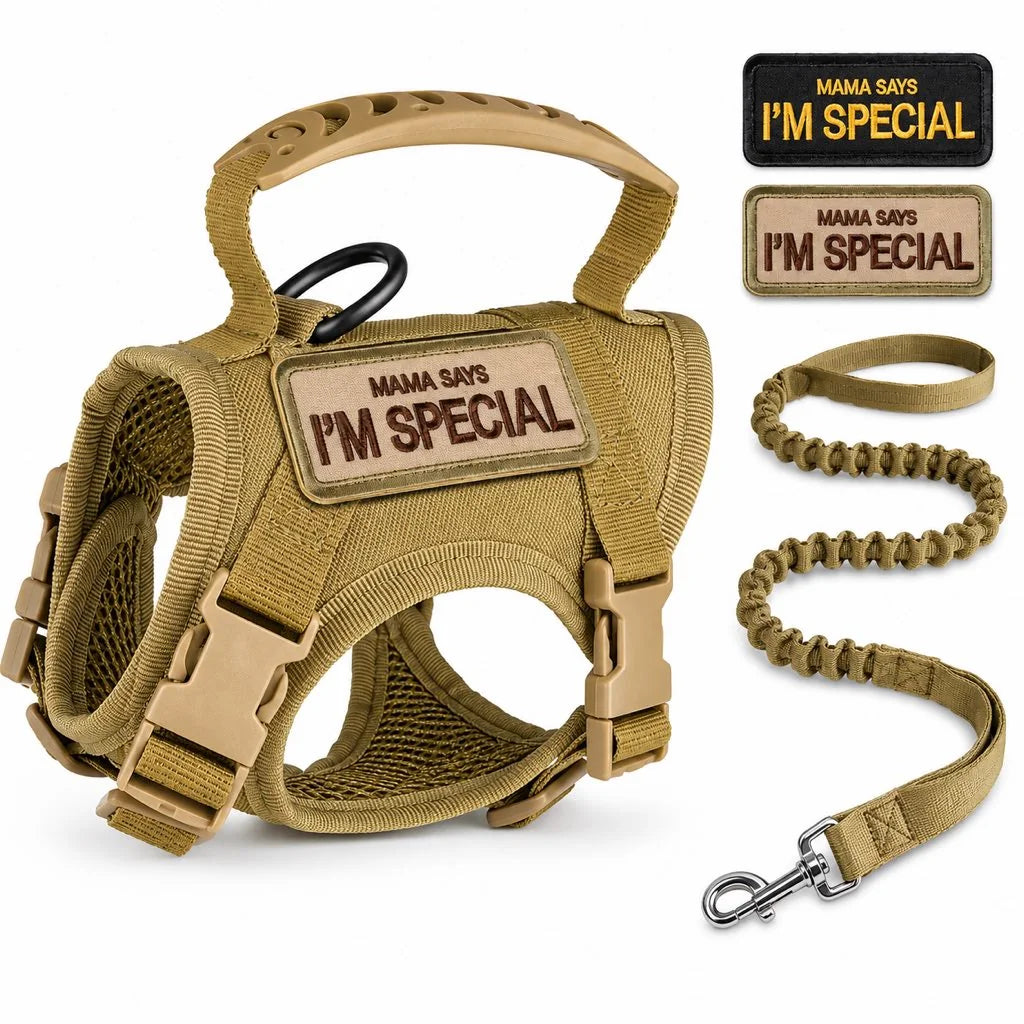 Paws in Awe Tactical Cat Harness & Leash Set image 13
