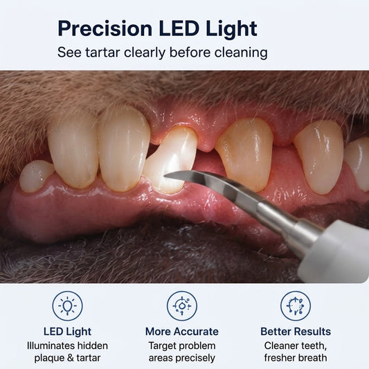 Pet dental cleaner LED light helps improve visibility during routine tooth cleaning.