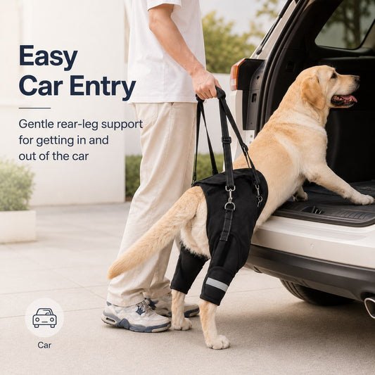 Paws in Awe Rear Support Dog Lift Harness for Senior & Injured Dogs - Hind Leg Mobility Aid for Stairs, Car Entry & Recovery Walks image 2