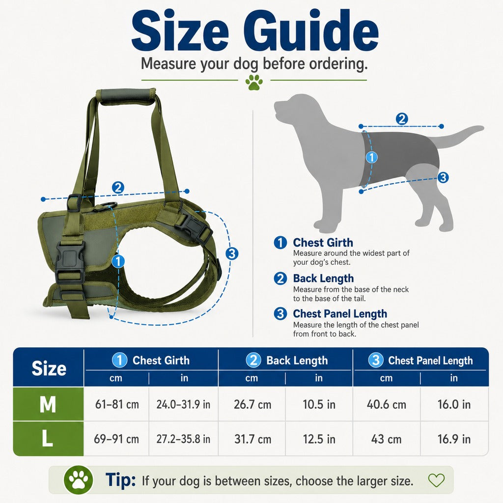 Paws in Awe Rear Support Dog Lift Harness for Stairs, Walks & Recovery - Padded Assist Harness for Senior, Injured & Weak-Hind-Leg Dogs image 11