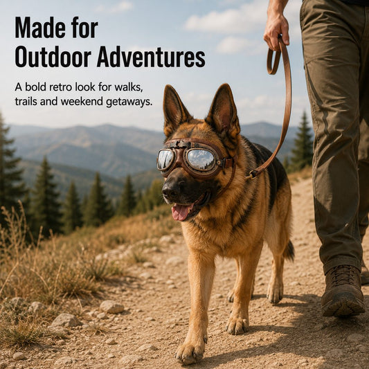 Retro aviator dog goggles outdoor adventure image