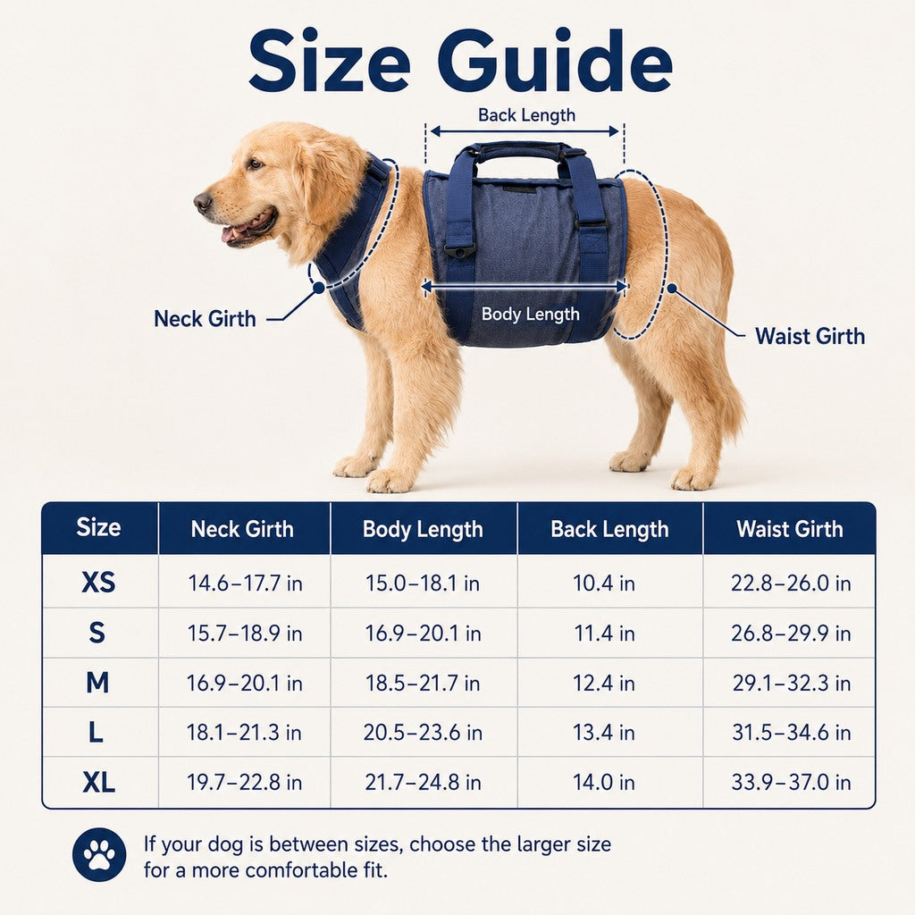 Paws in Awe Senior Dog Lift Harness for Stairs, Cars & Daily Walking - Full-Body Support for Weak Legs image 8