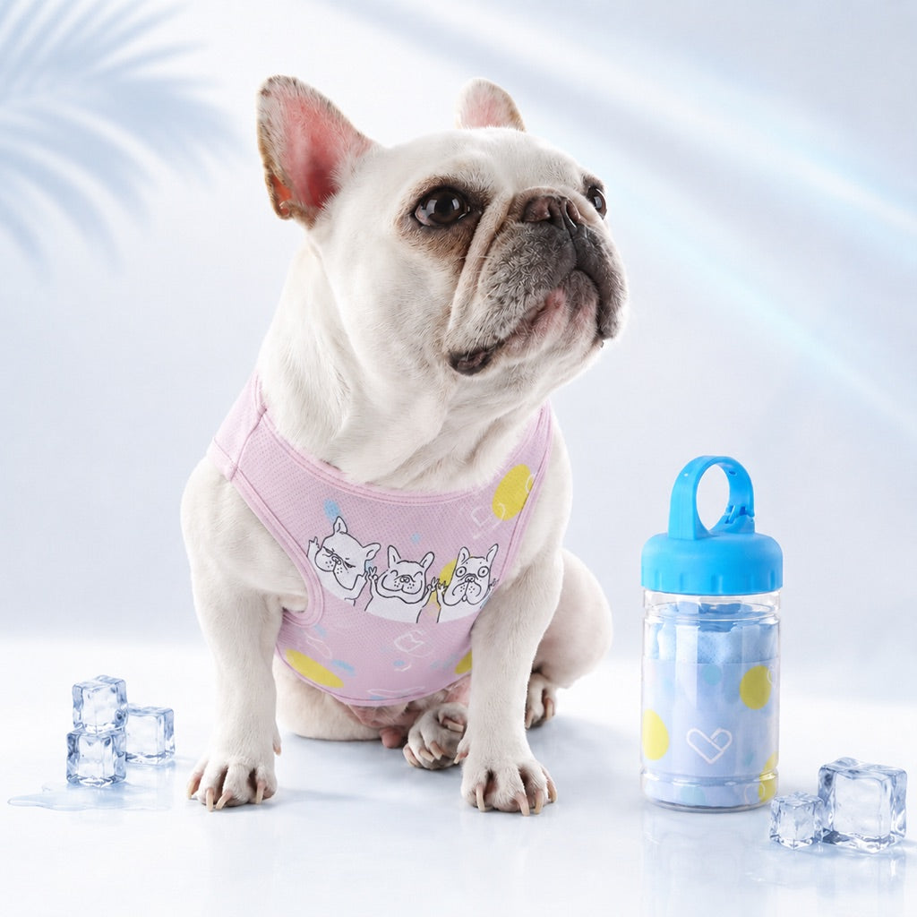 Paws in Awe French Bulldog Cooling Vest for Hot Summer Walks image 11