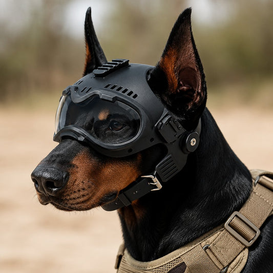 Paws in Awe K9 Tactical-Style Dog Helmet with Goggles for Hiking & Outdoor Training - Helps Shield Eyes from Wind, Dust & Trail Debris hero lifestyle scene showing the product in its most natural real-use environment