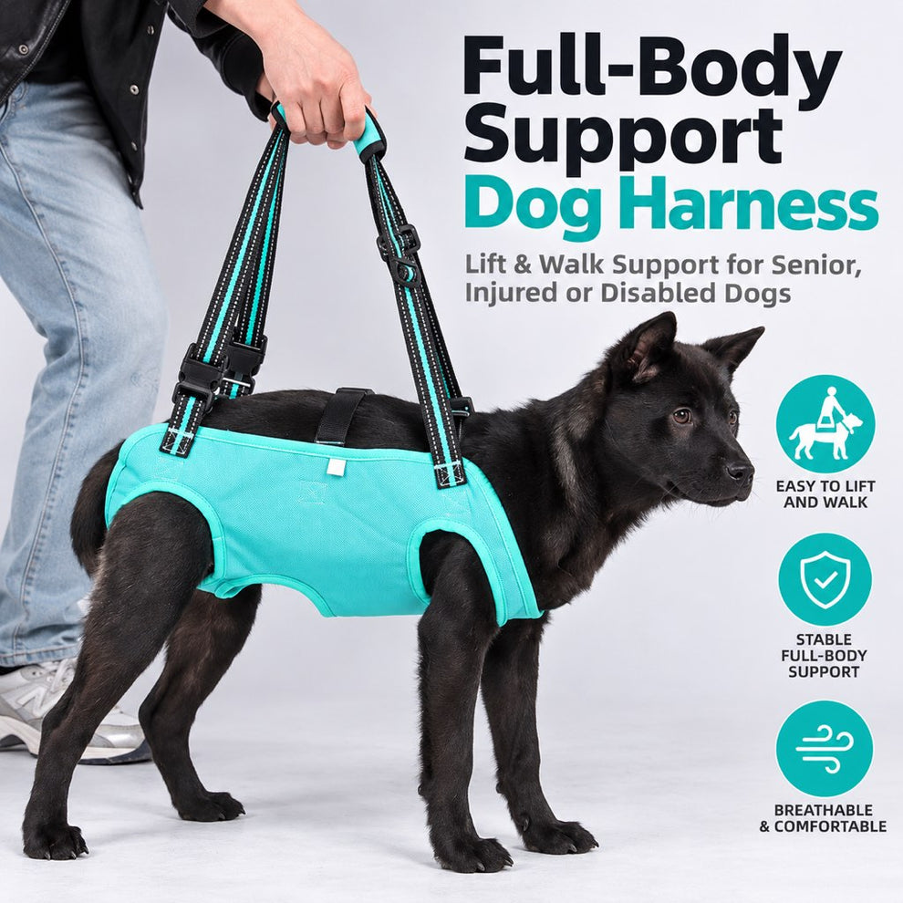 Full-body dog lift harness providing assisted walking support