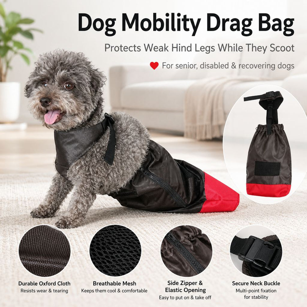 Paws in Awe Dog Mobility Drag Bag for Indoor Scooting - Hind Leg Protection for Senior & Disabled Dogs image 2
