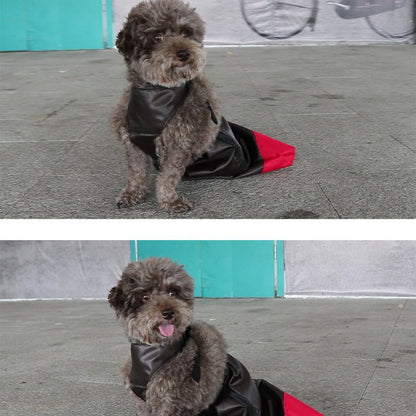 Paws in Awe Dog Mobility Drag Bag for Indoor Scooting - Hind Leg Protection for Senior & Disabled Dogs image 4
