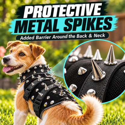 Outward-facing metal spikes on protective dog vest