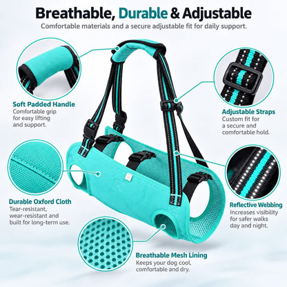 Breathable material and adjustable straps on dog lift harness
