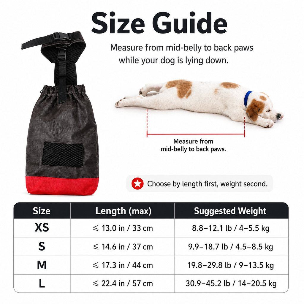 Paws in Awe Dog Mobility Drag Bag for Indoor Scooting - Hind Leg Protection for Senior & Disabled Dogs image 9