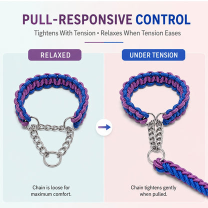 Paws in Awe Heavy-Duty Braided Dog Leash with Chain-Control Collar for Strong Pullers - Daily Walking & Training image 6