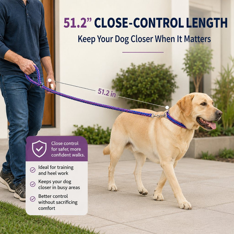 Paws in Awe Heavy-Duty Braided Dog Leash with Chain-Control Collar for Strong Pullers - Daily Walking & Training image 3