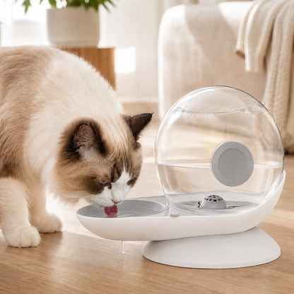 Paws in Awe 2.8L Gravity Pet Waterer for Cats & Small Dogs – No-Plug Auto Refill for Busy Homes image 11