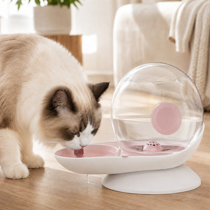 Paws in Awe 2.8L Gravity Pet Waterer for Cats & Small Dogs – No-Plug Auto Refill for Busy Homes image 12