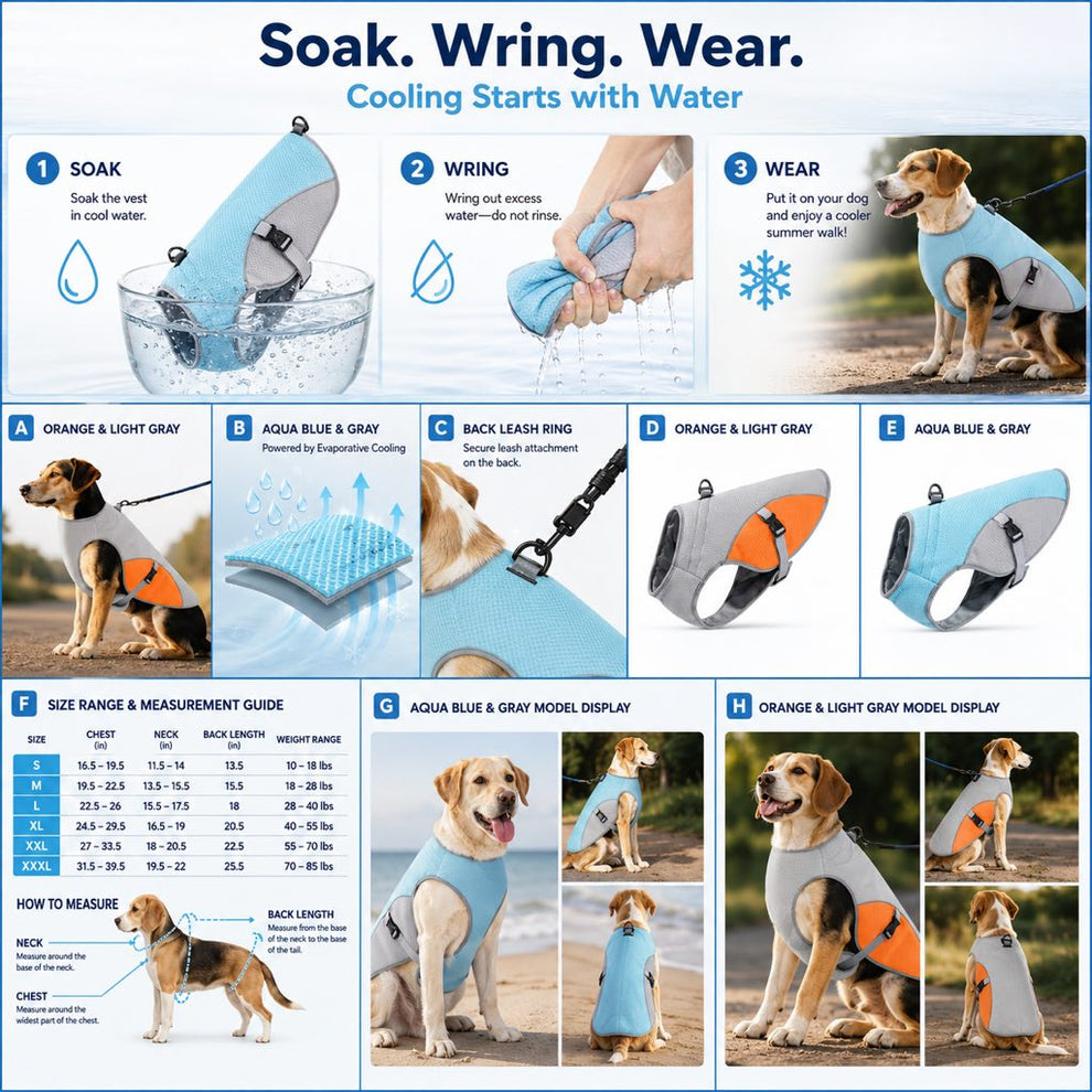Paws in Awe Dog Cooling Vest for Summer Walks - Wet-to-Cool Lightweight Jacket with Leash Ring for Hot Weather Outdoor Comfort image 5