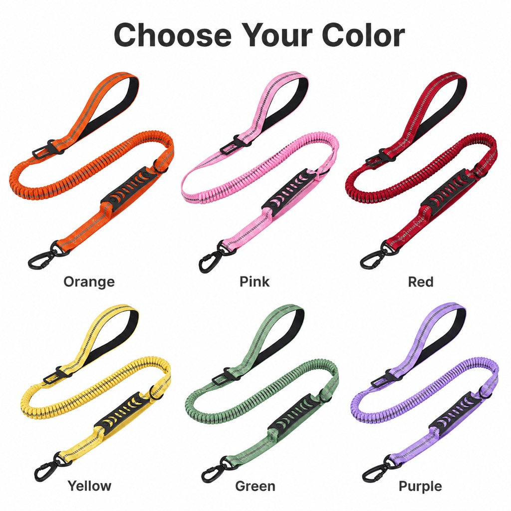 Paws in Awe Reflective Dog Car Seat Belt Leash for Backseat Travel & Daily Walks - Shock-Absorbing Bungee Tether to Help Reduce Pulling & Driver Distraction image 10