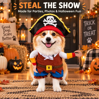 3D stuffed arms on pirate dog costume create a walking illusion