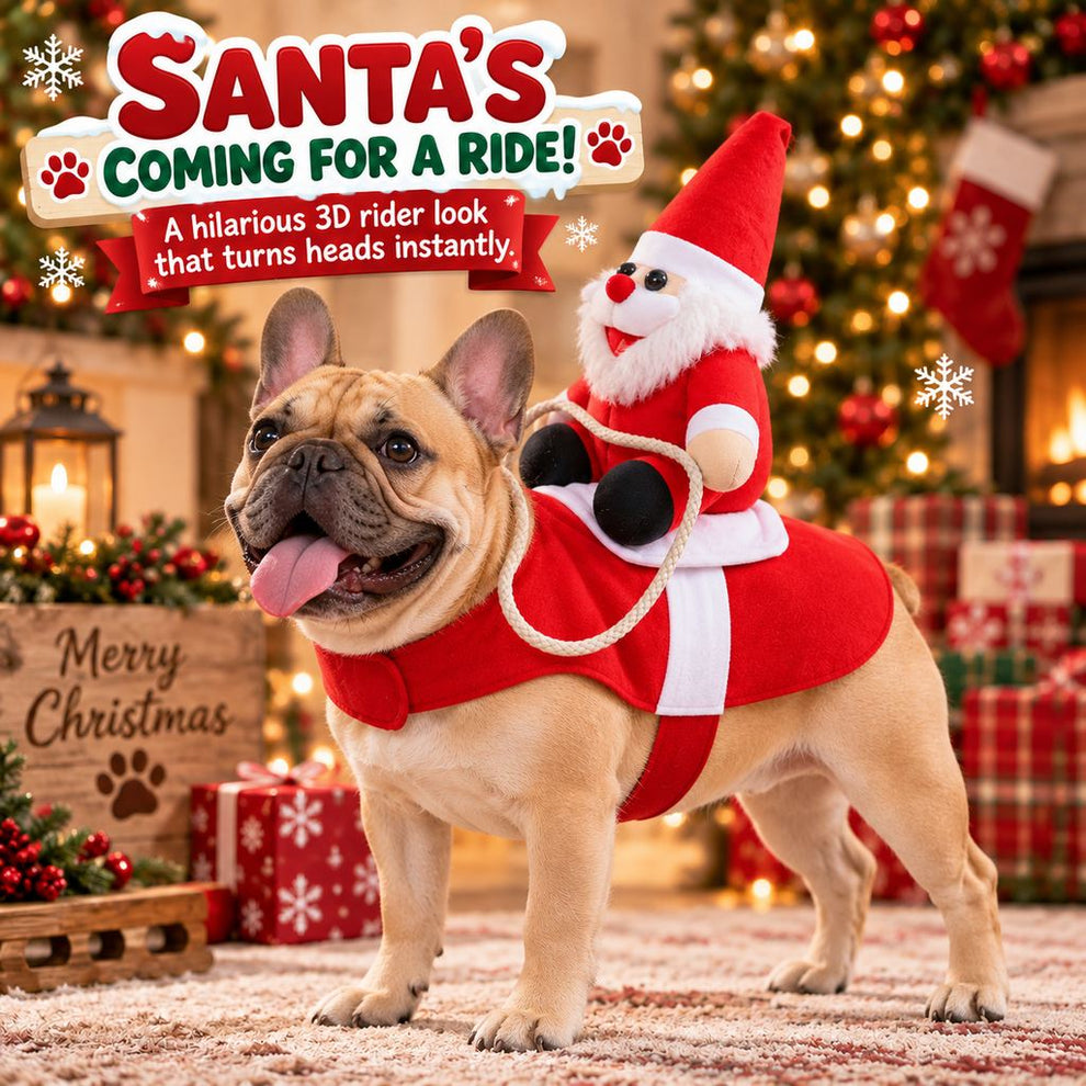 French Bulldog in plush Santa rider pet costume
