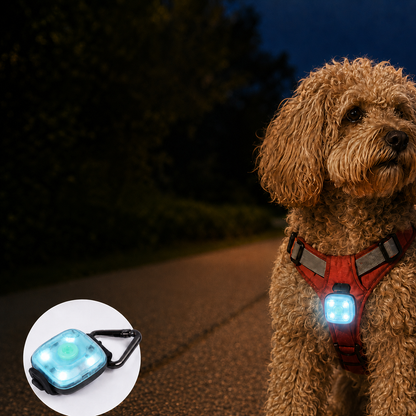 Paws in Awe Clip-On Pet Safety Light for Night Walks - Helps Dogs & Cats Stay Visible After Dark image 13