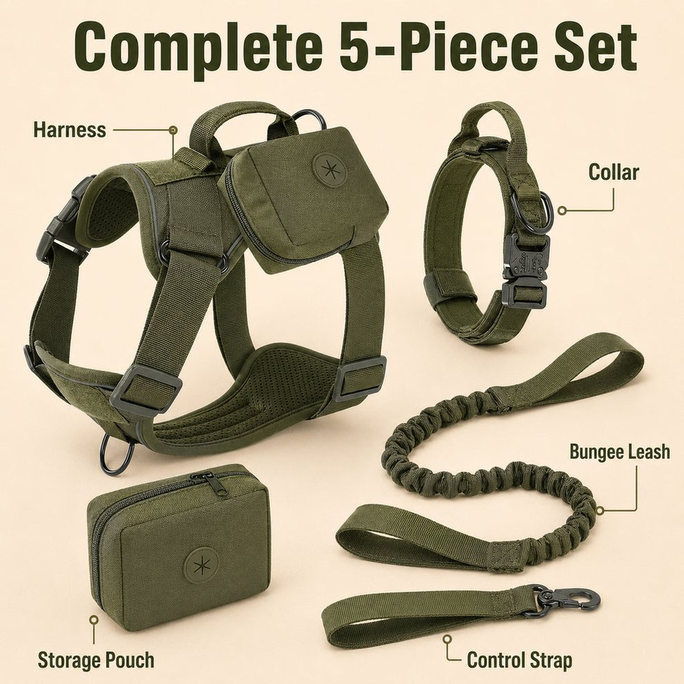 Complete 5-piece tactical dog harness set with harness collar bungee leash pouch and control strap
