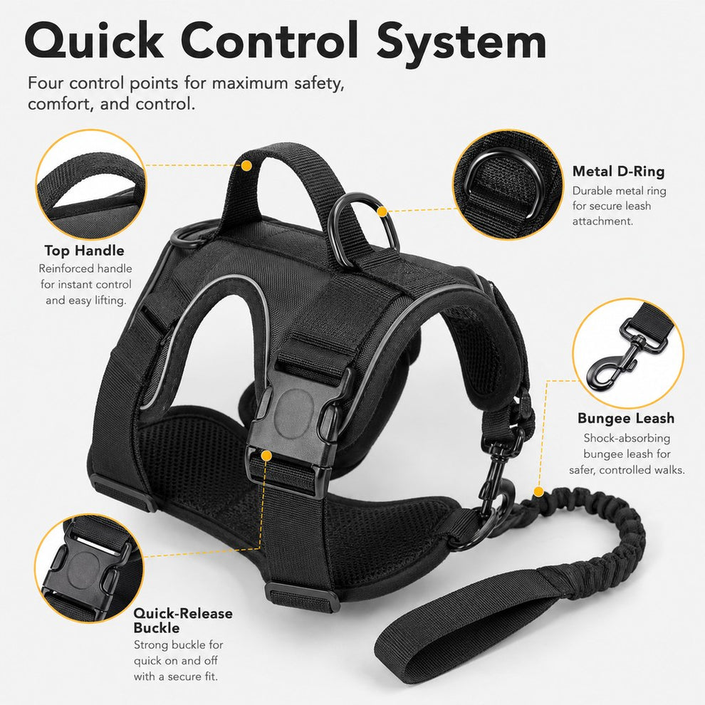 Quick control system on tactical dog harness set with handle leash and D-ring details