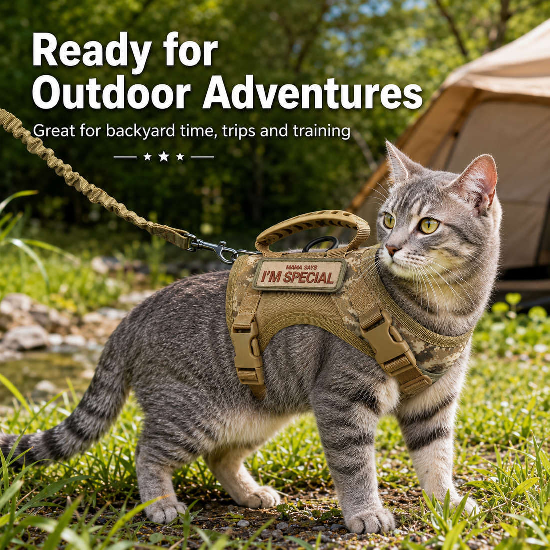 Paws in Awe Tactical Cat Harness with Leash for Outdoor Walks, Adjustable Escape-Resistant Vest for Cats image 7