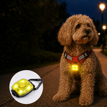 Paws in Awe Clip-On Pet Safety Light for Night Walks - Helps Dogs & Cats Stay Visible After Dark image 11