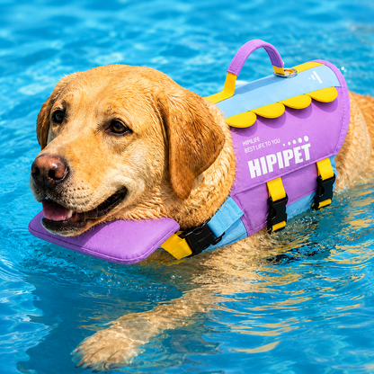 Paws in Awe High-Visibility Bee-Wing Dog Life Jacket with Chin Float & Rescue Handle for Pool, Lake & Boat Safety image 12