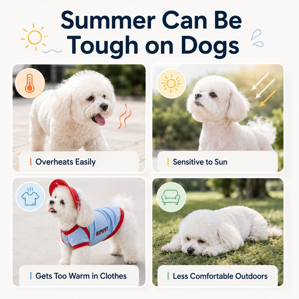 Paws in Awe Dog Cooling Vest and Sun Hat Set – Keep your dog cool and comfortable during hot summer walks. image 6