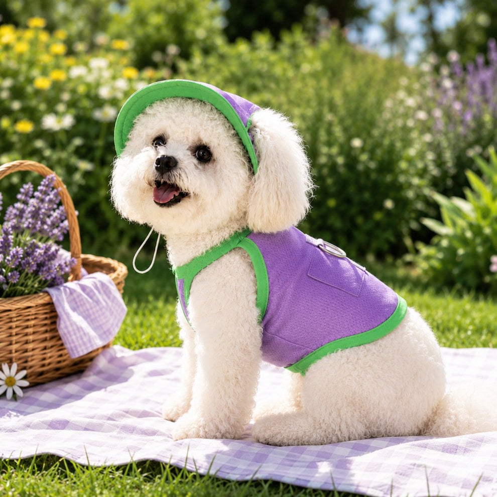 Paws in Awe Dog Cooling Vest and Sun Hat Set – Keep your dog cool and comfortable during hot summer walks. image 3