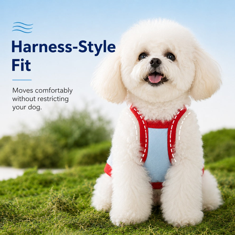 Paws in Awe Dog Cooling Vest and Sun Hat Set – Keep your dog cool and comfortable during hot summer walks. image 4
