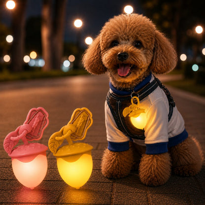 AcornGlow Coral Pink + Honey Yellow rechargeable pet safety light set
