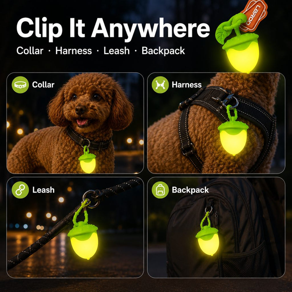 Paws in Awe AcornGlow USB-C Rechargeable Pet Safety Light for Night Walks - Clip-On Acorn LED Charm for Collars, Harnesses & Leashes to Help Dogs Stay Visible After Dark image 5
