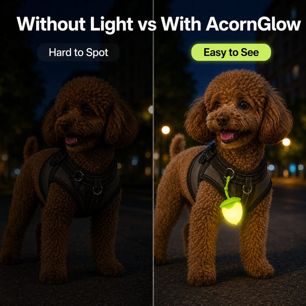 Paws in Awe AcornGlow USB-C Rechargeable Pet Safety Light for Night Walks - Clip-On Acorn LED Charm for Collars, Harnesses & Leashes to Help Dogs Stay Visible After Dark image 3