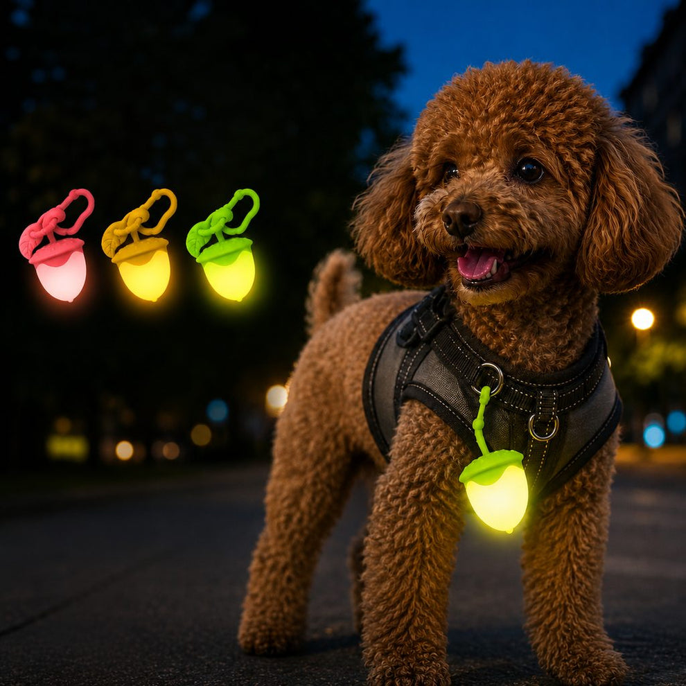 Paws in Awe AcornGlow USB-C Rechargeable Pet Safety Light for Night Walks - Clip-On Acorn LED Charm for Collars, Harnesses & Leashes to Help Dogs Stay Visible After Dark image 1