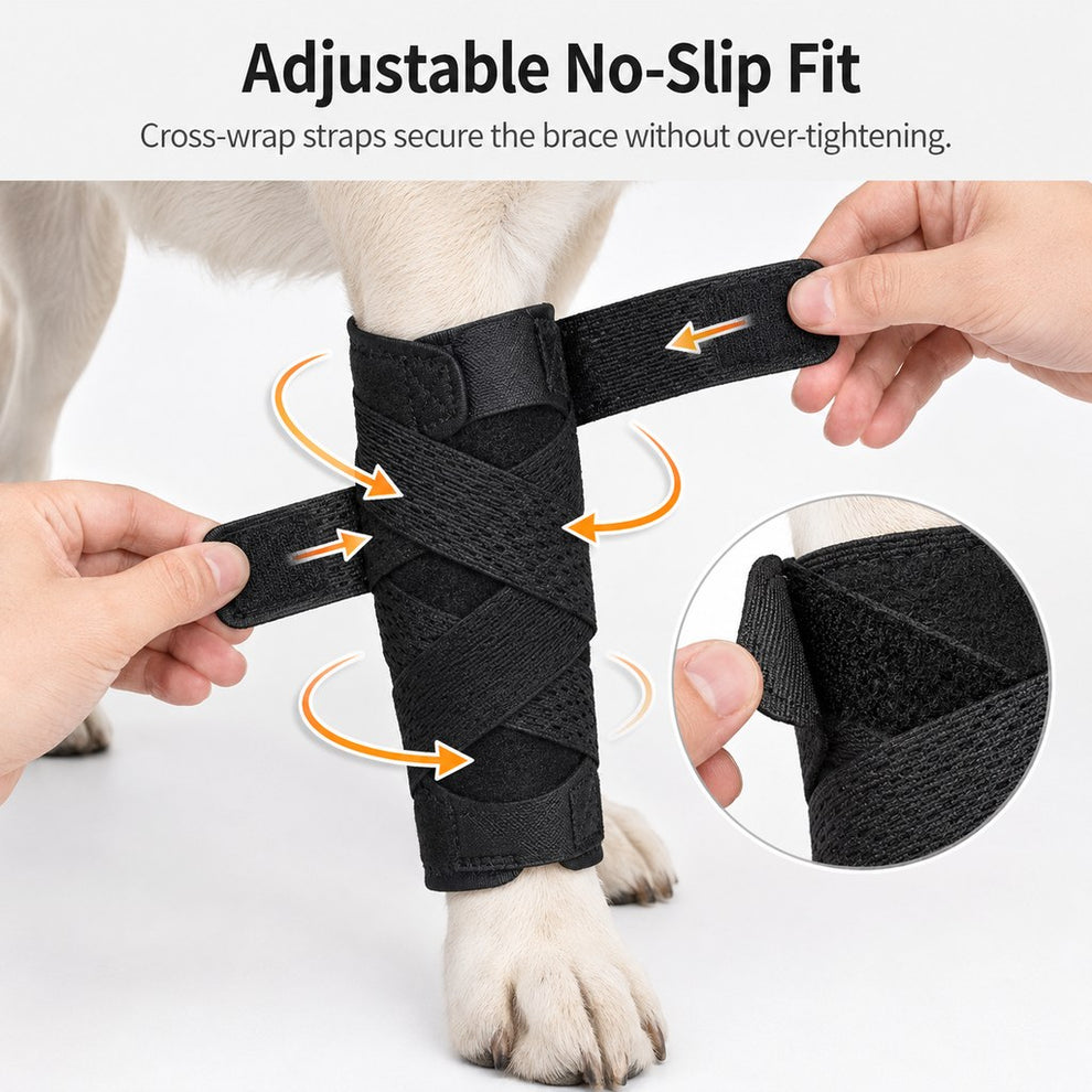Paws in Awe Dog Leg Recovery Support Brace for Senior Dogs & Post-Surgery Wound Protection - Adjustable Front & Rear Leg Stabilizer image 6