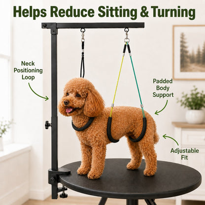 Adjustable dog grooming arm kit for steadier brushing and trimming