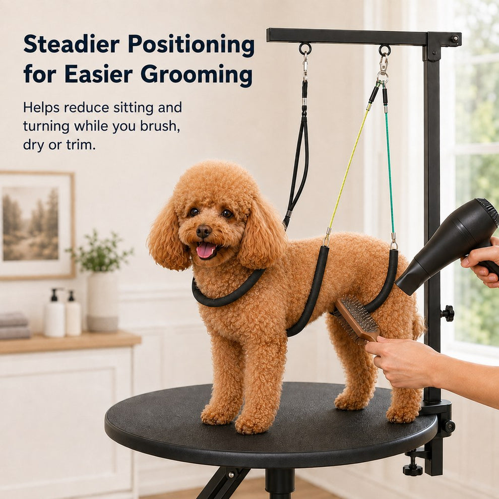Dog grooming arm kit helps reduce sitting and turning during grooming