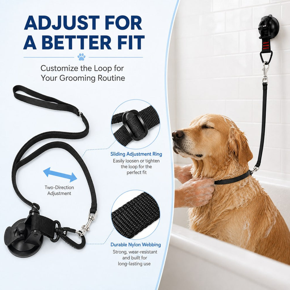 Adjustable grooming loop and suction cup tether fit guide