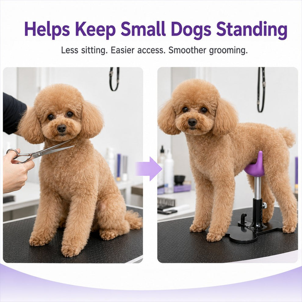 Dog grooming support stand helps keep small dogs standing