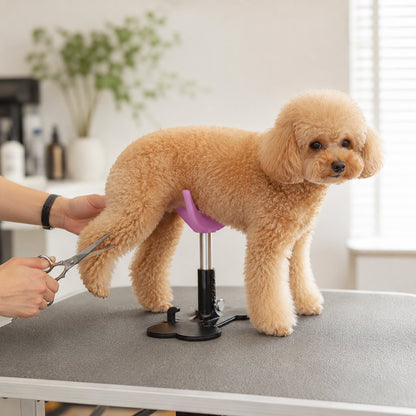 Adjustable dog grooming support stand lifestyle image